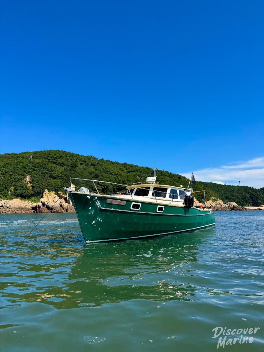 크루즈 낚시 보트 알바트로스40