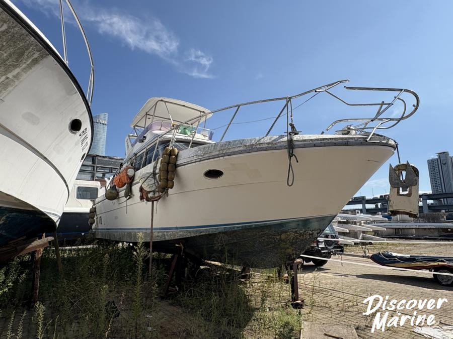 미상(프린센스)