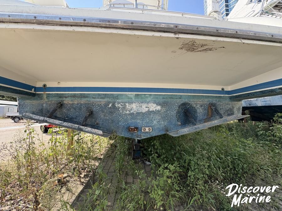 미상(프린센스)