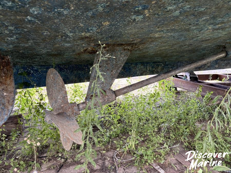 미상(프린센스)