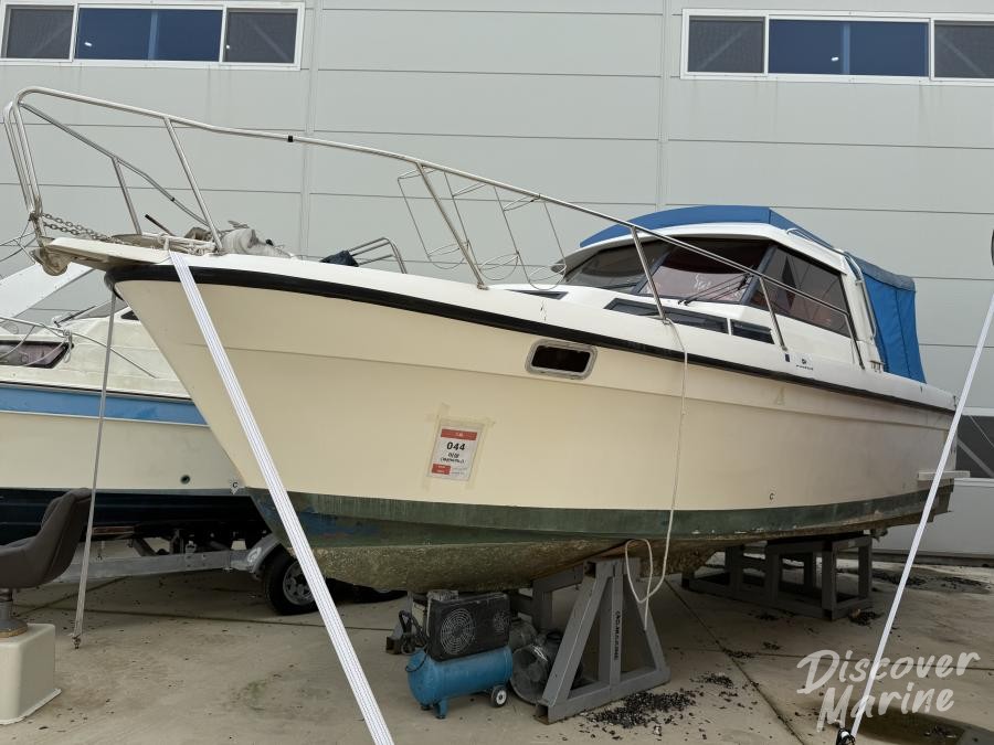 미상(파란비미니)