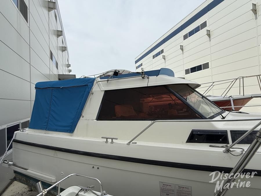 미상(파란비미니)