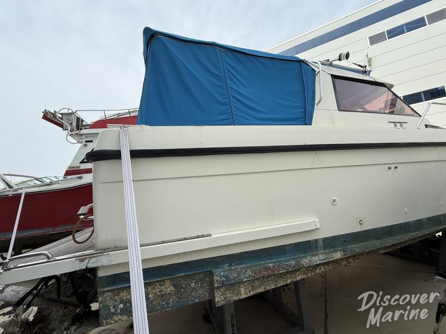 미상(파란비미니)