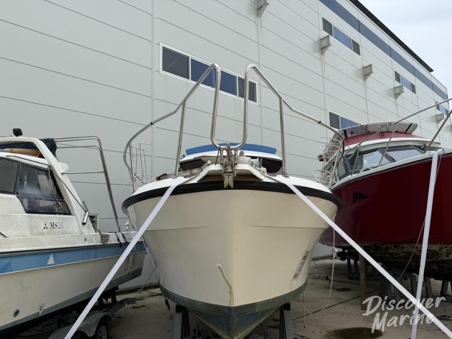 미상(파란비미니)