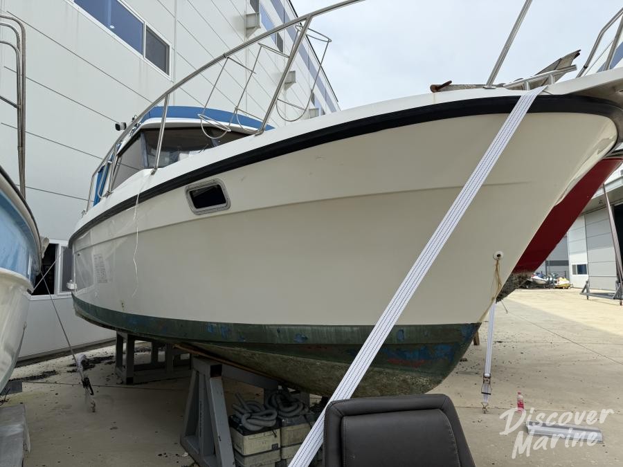 미상(파란비미니)