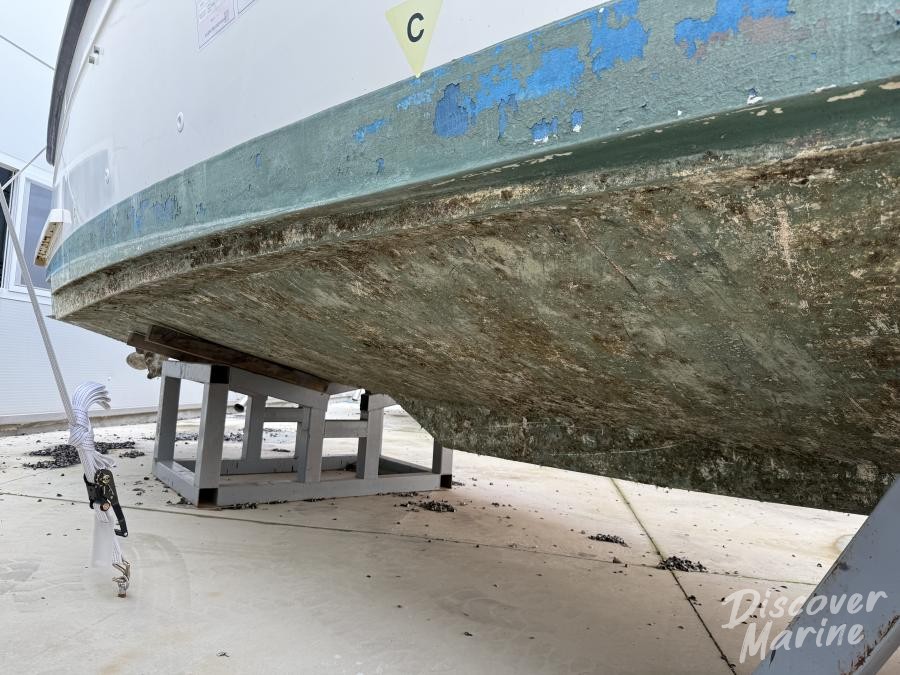 미상(파란비미니)