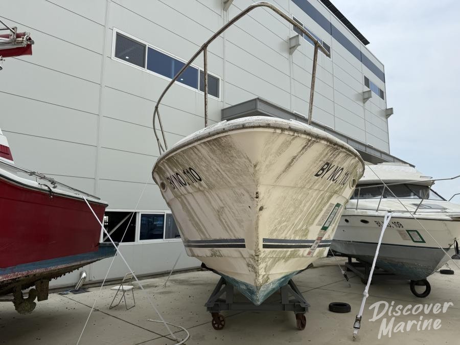 미상(바오클럽110)