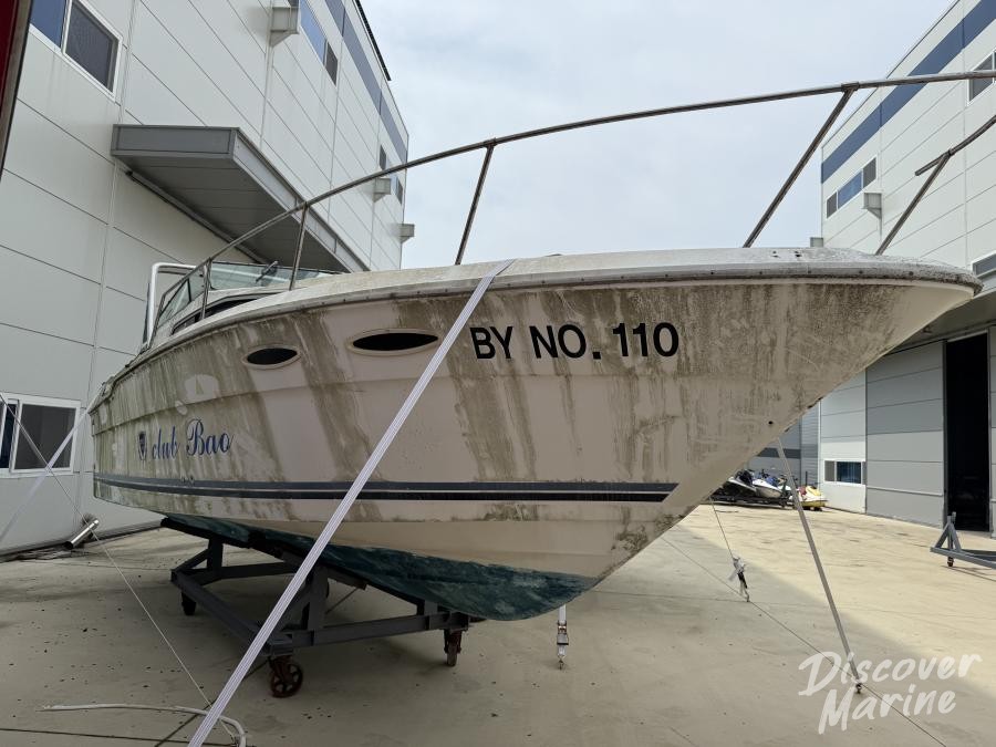 미상(바오클럽110)