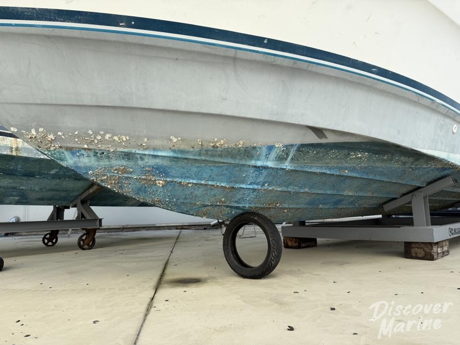 미상(바오클럽109)