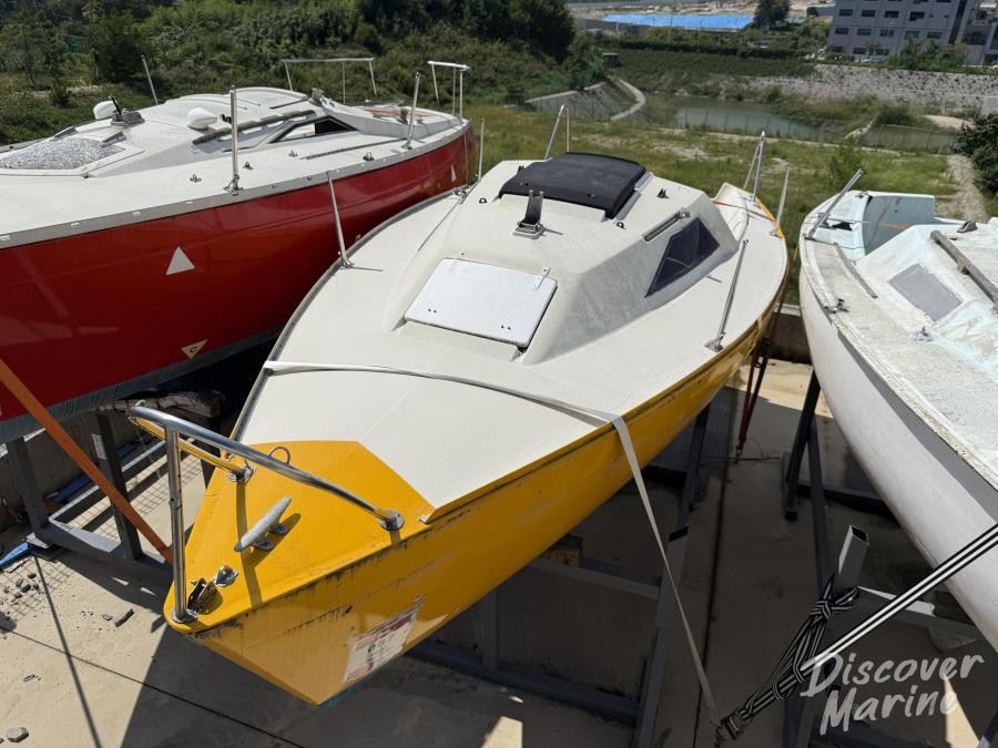 미상(세일-노랑)