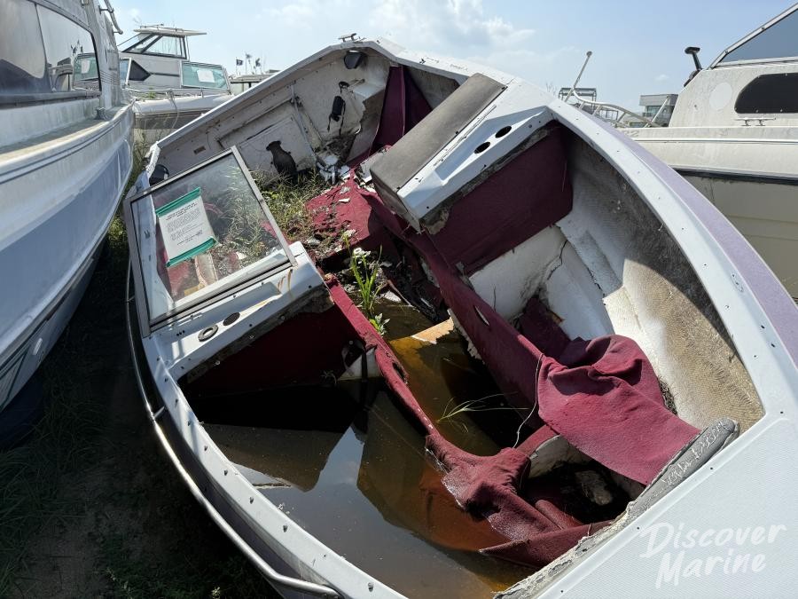 미상(핑크배) - 누락