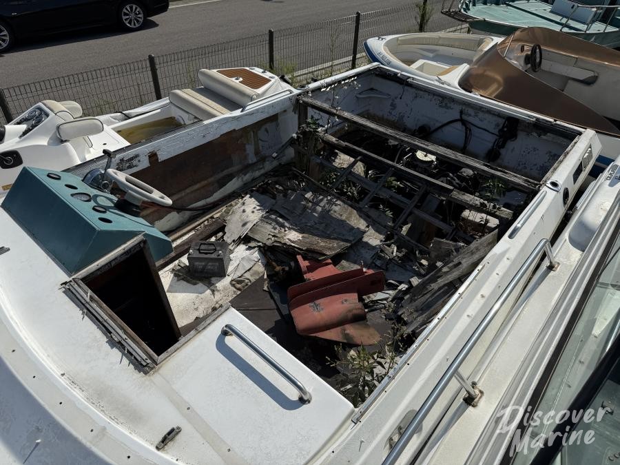 미상 (바오클럽114)