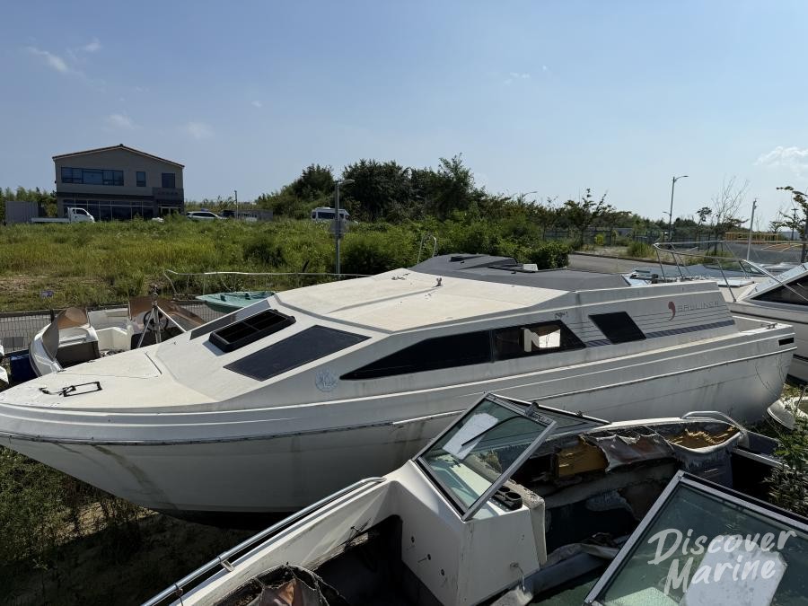 미상 (베이라이너)