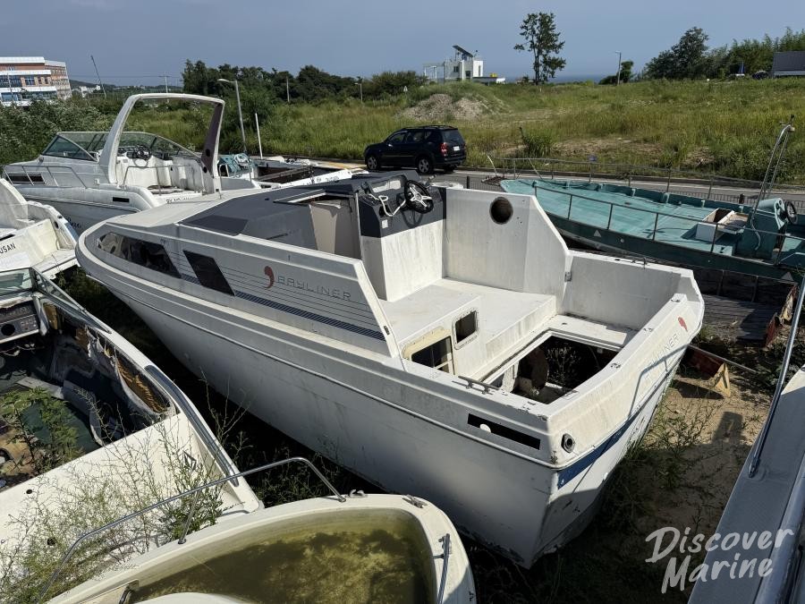 미상 (베이라이너)