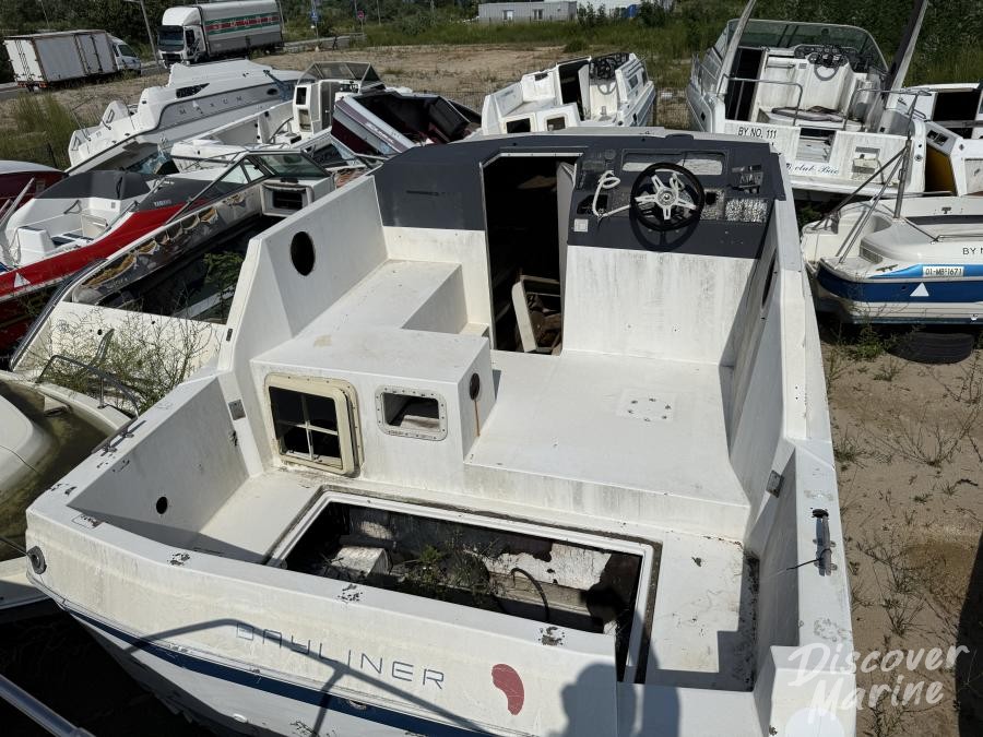 미상 (베이라이너)