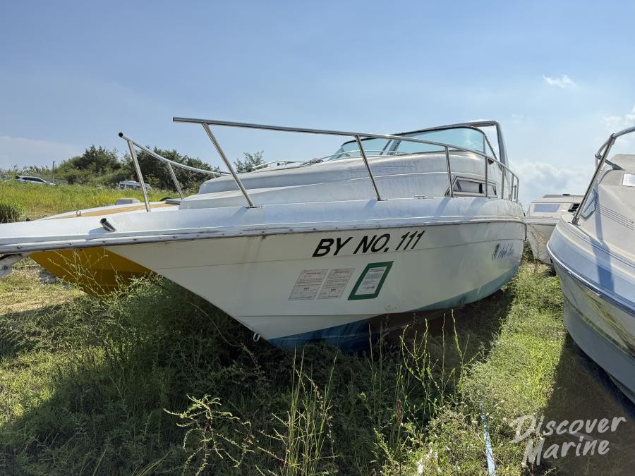 미상 (바오클럽111)