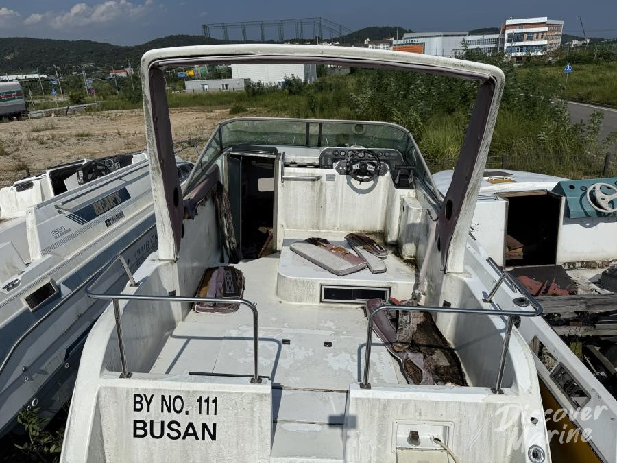 미상 (바오클럽111)