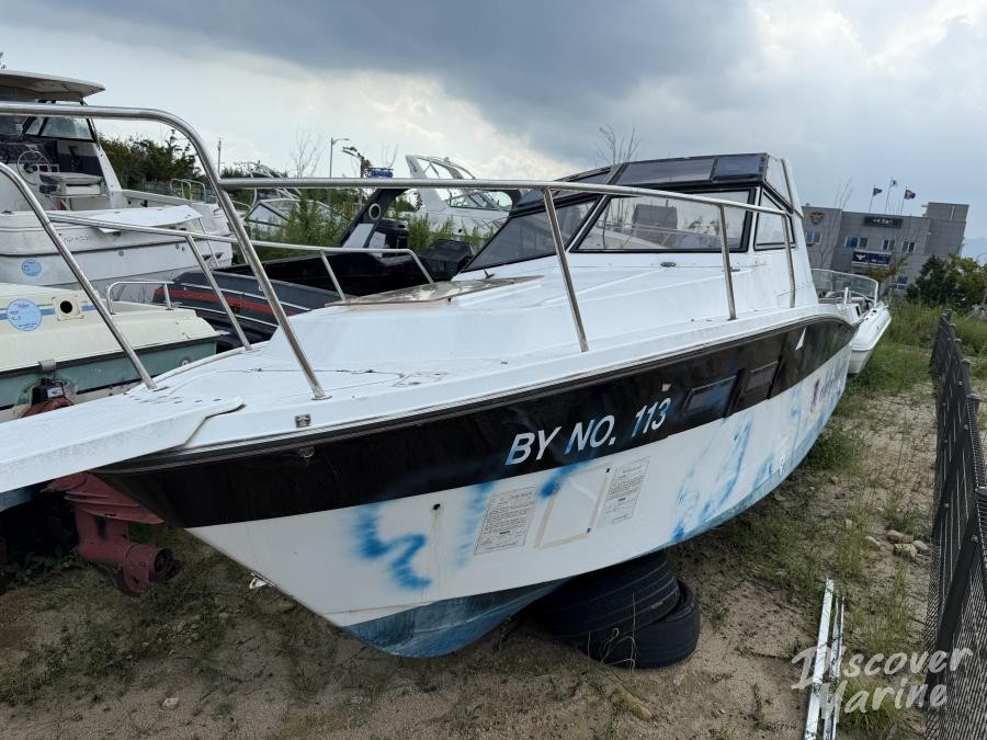 미상 (바오클럽113)