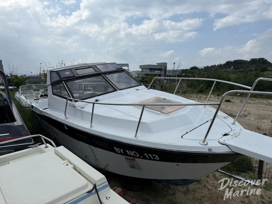 미상 (바오클럽113)