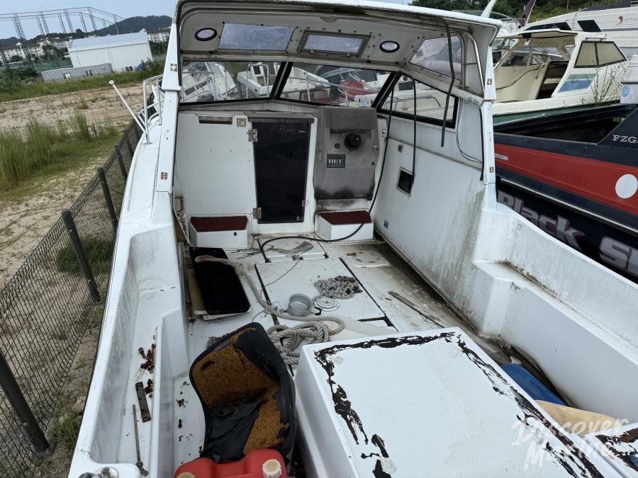 미상 (바오클럽113)