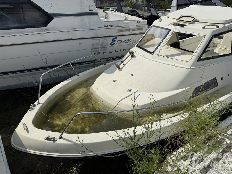 미상 (바오클럽116)