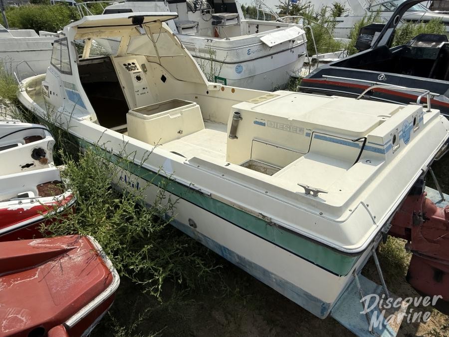 미상 (바오클럽116)