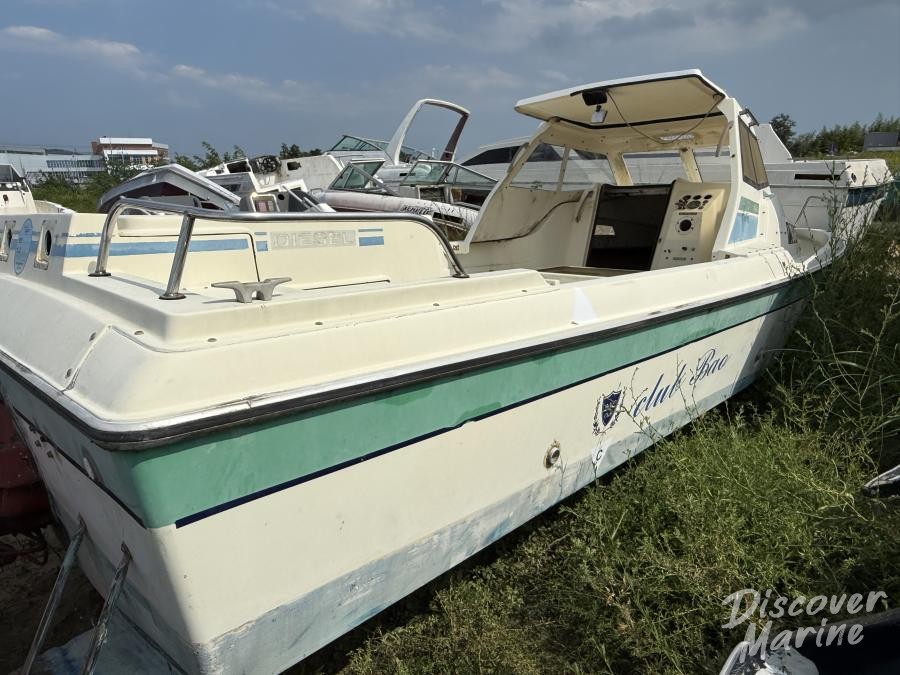 미상 (바오클럽116)