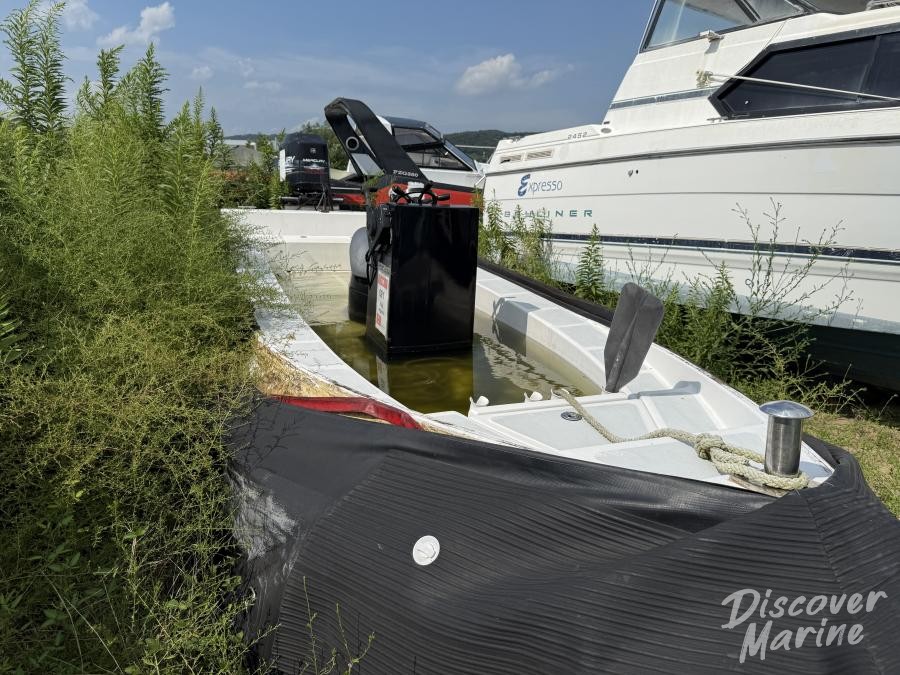 미상(카밀리아)